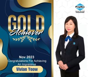 viviansgproperty vivianyeow